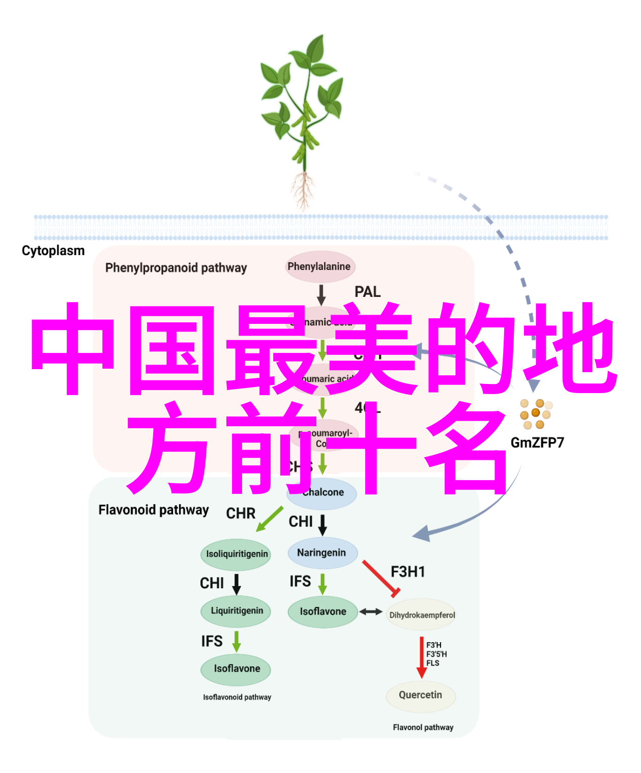 轮流扰乱三个男性的交替烦恼