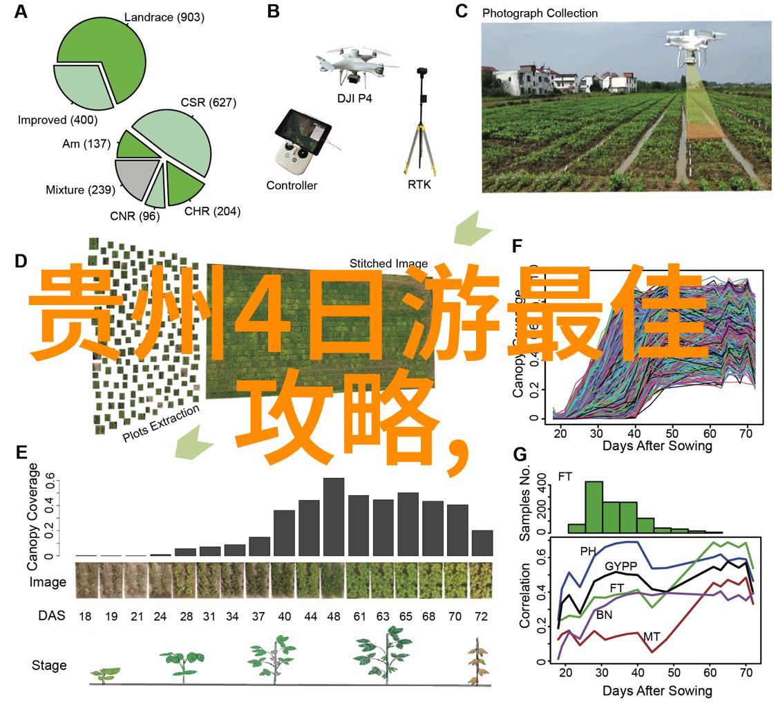 云南大理古城之美