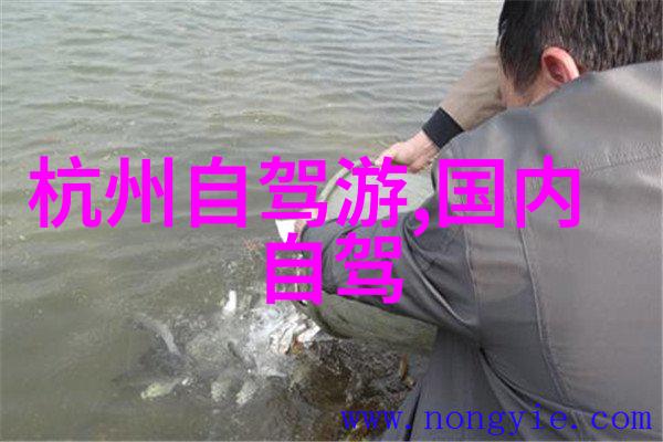 阿布吉措徒步探险揭秘最佳时机与户外小游戏趣味体验