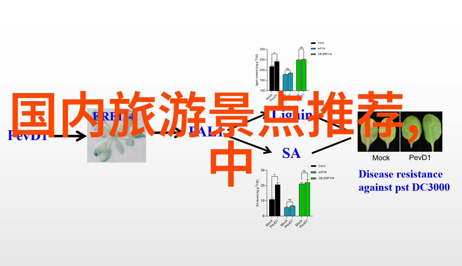 南京特色餐馆排名前十我来帮你找个味儿