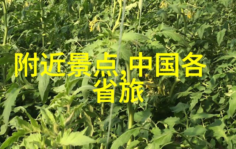 夏日毕业游必去景点推荐夏季旅行目的地