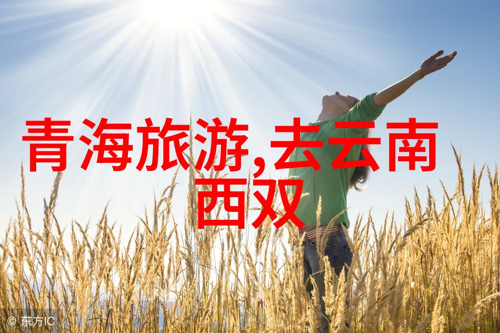 折叠自行车和普通自行车相比有哪些缺点