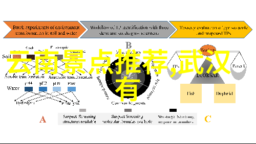 探索云南西双版纳的迷人风光与文化奇观