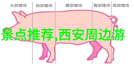 美食与文化体验浙江当地特色美食的5日行程