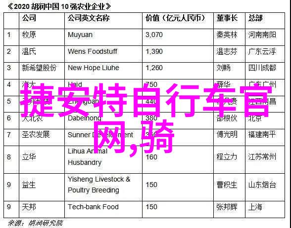 品味国色各地特色美食小吃的风味之旅