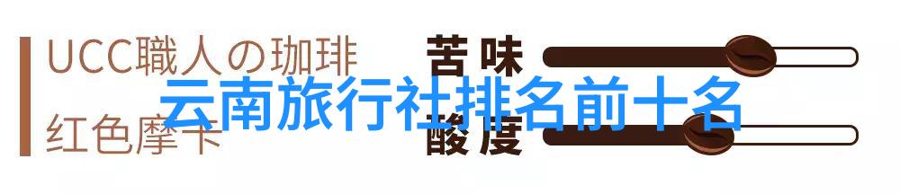 洛希极限超声速飞行的边界探究