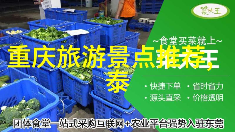 户外小游戏大全简单-轻松愉悦简易户外游戏趣味盛宴