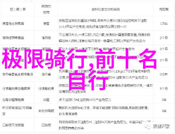 自驾游租车攻略选择合适的车型预算规划与安全保障