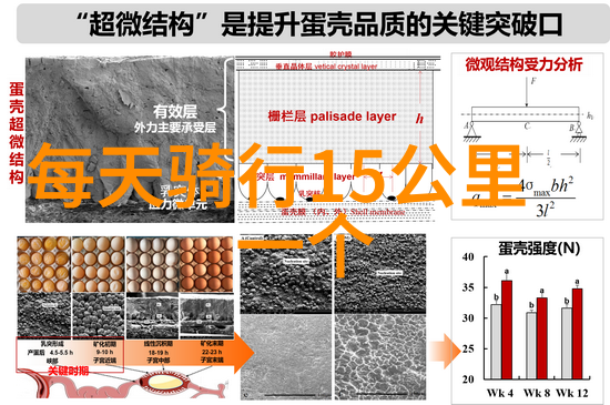 中国旅游景点3d虚拟旅游app-探索千古辉煌中国名胜古迹在3D虚拟世界的盛宴