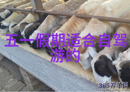 二手市场上不同配置的捷安特车型价格差异主要在哪里