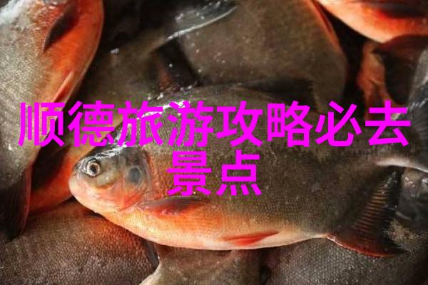 獐岛旅游攻略费用全解析探秘这座美丽小岛的每一分钱