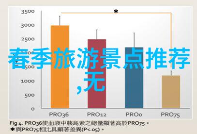 户外拓展趣味团建游戏的精彩征程