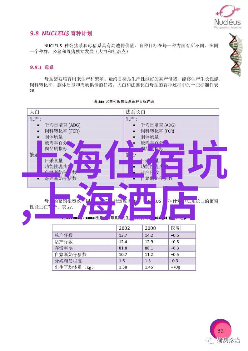 林苑路小吃街让味蕾在南京的大地上跳舞