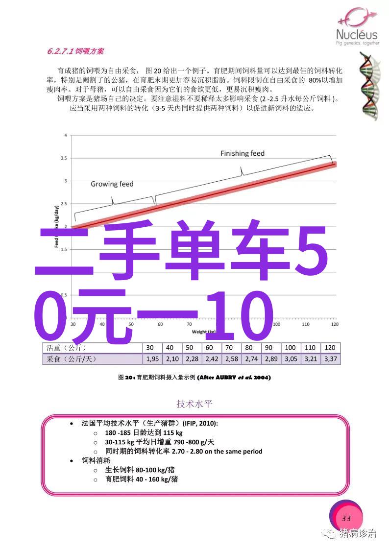 治国之术权力与智慧的完美对称