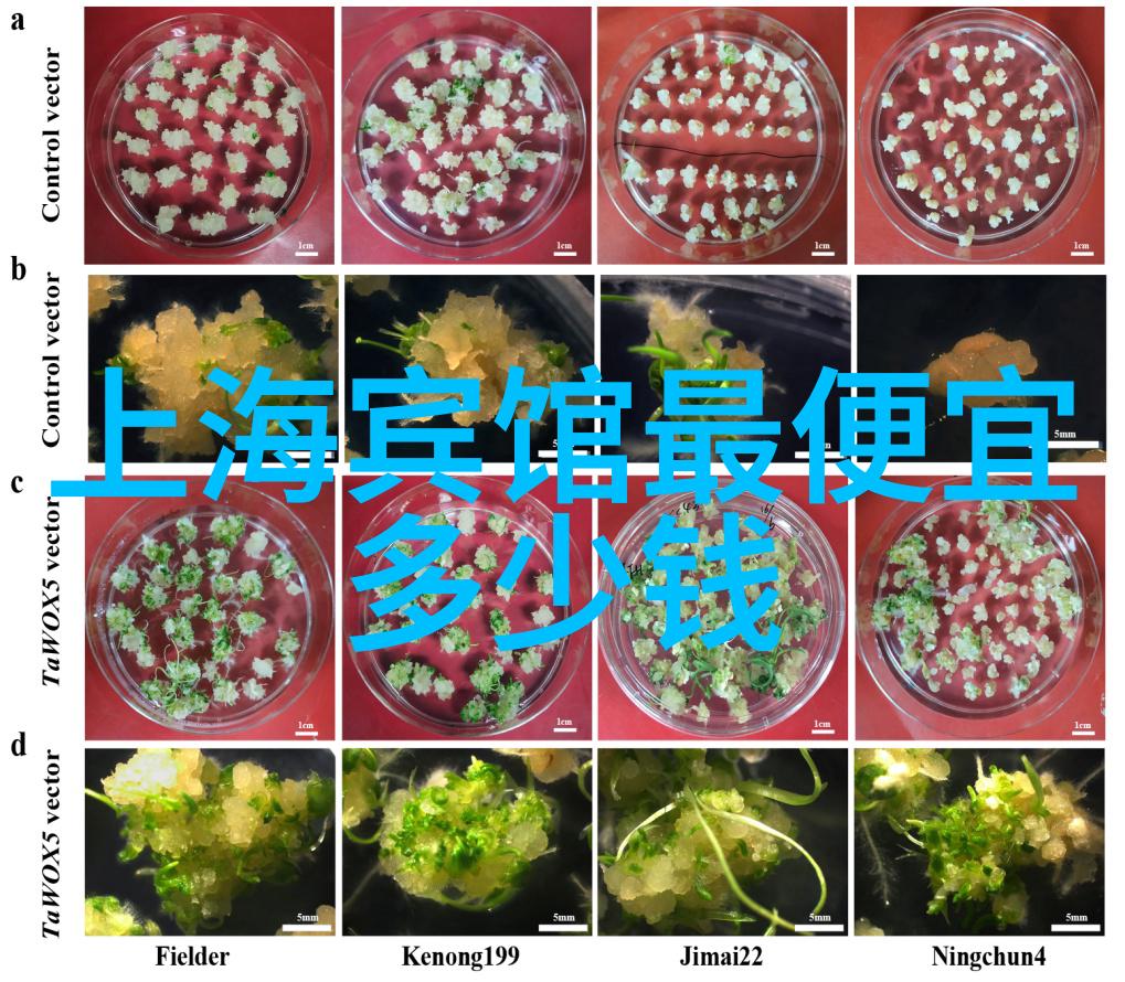 最近一周旅游热点新闻我去哪儿海外自驾游的新趋势让人瞩目