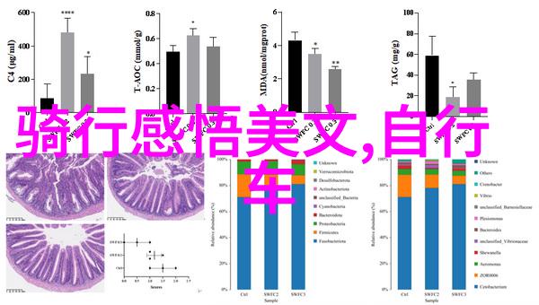 贵州古镇探秘安顺小寨里的历史故事