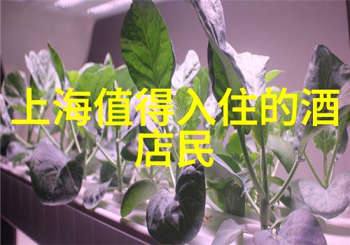 火爆骑行应用的选择指南哪款软件最适合您