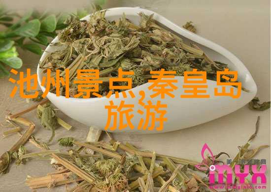 骑行视频素材亲测那些让视频更有活力的拍摄技巧