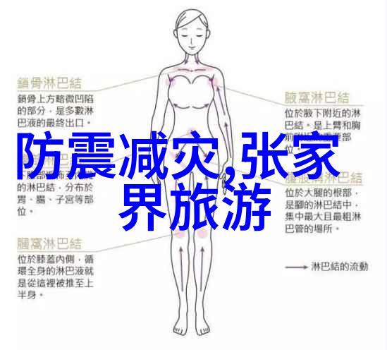 春暖花开的香榧森林公园国内二三月最佳旅游目的地