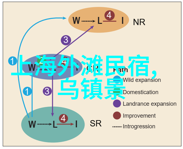 团队建设必备的15个小游戏活动提升员工沟通协作能力