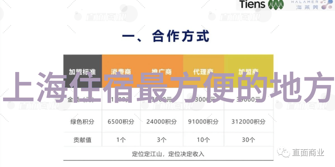 蜜桃日本MV免费观看