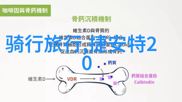 乡村旅游发展的策略与实践探究