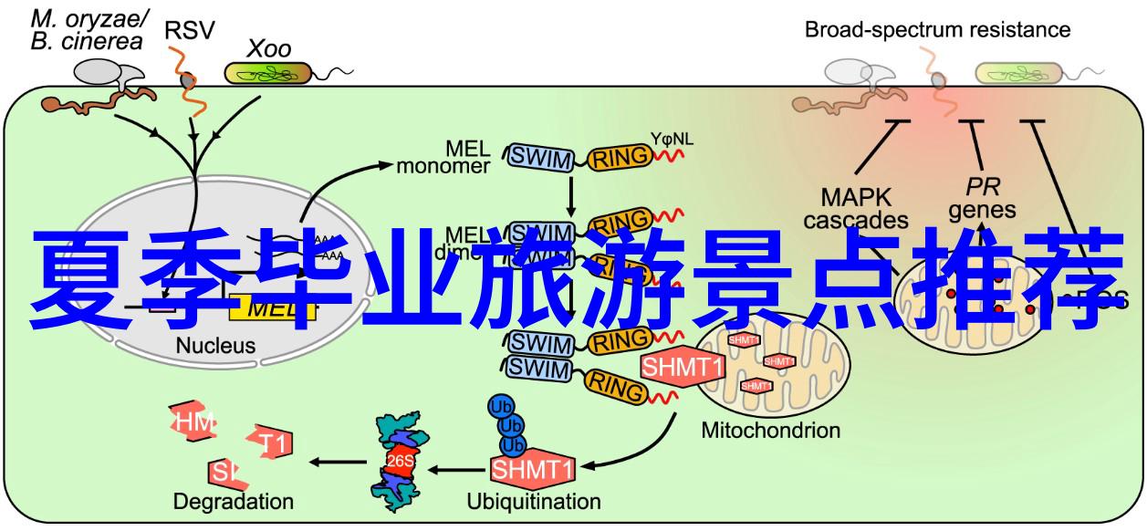 五一假期自驾游揭秘那些隐藏的风景之都