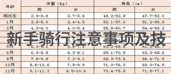 南普陀的味道寻找厦门最迷人的小吃街