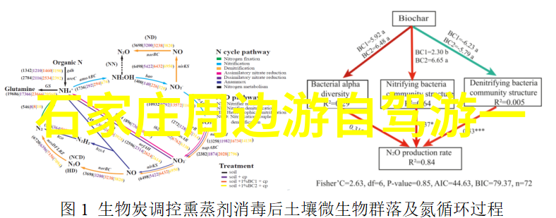 冒险爱好者梦寐以求的地方贵陽附近的户外运动胜地介绍