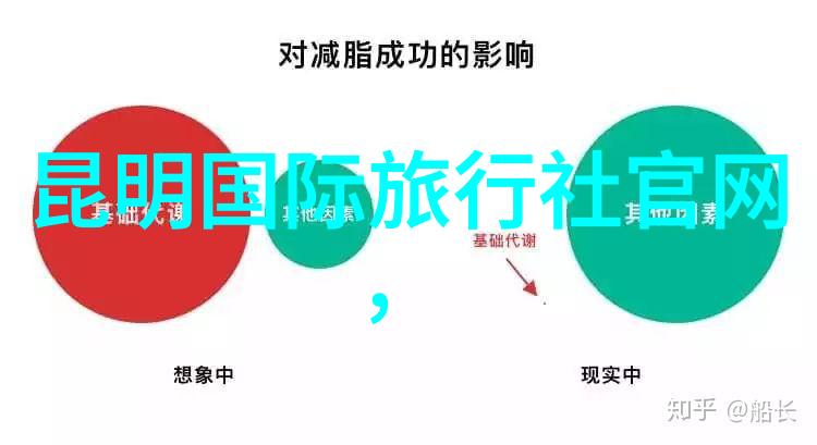 捷安特公路车入门推荐探索骑行乐趣的初级指南