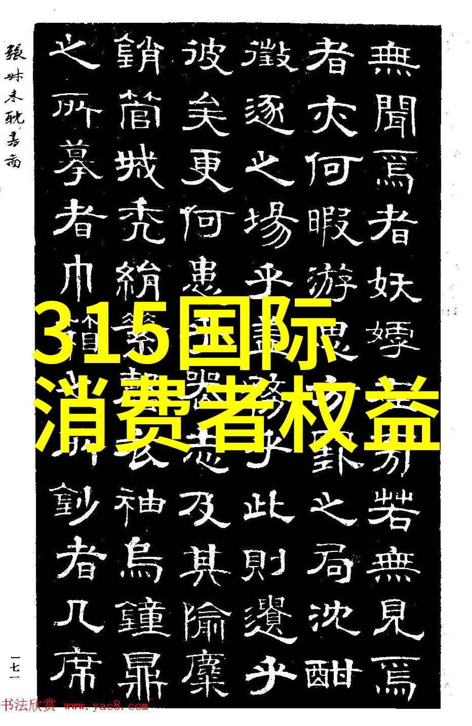 幼儿园中班户外活动100种游戏实践与研究