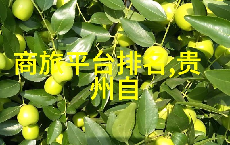 时尚与汽车 - ysl千人千色ae86v1.0个性化风格的完美融合