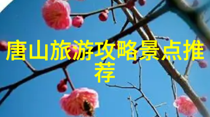 西安一日游攻略详细秦始皇兵马俑博物馆古城墙漫步大雁塔文化探索