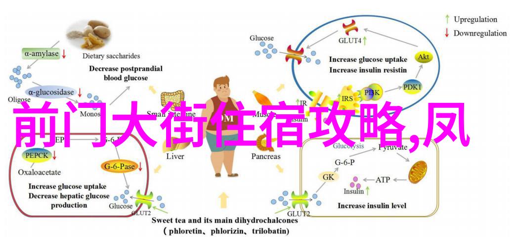 广州旅游住宿攻略选择最佳酒店体验丰富文化