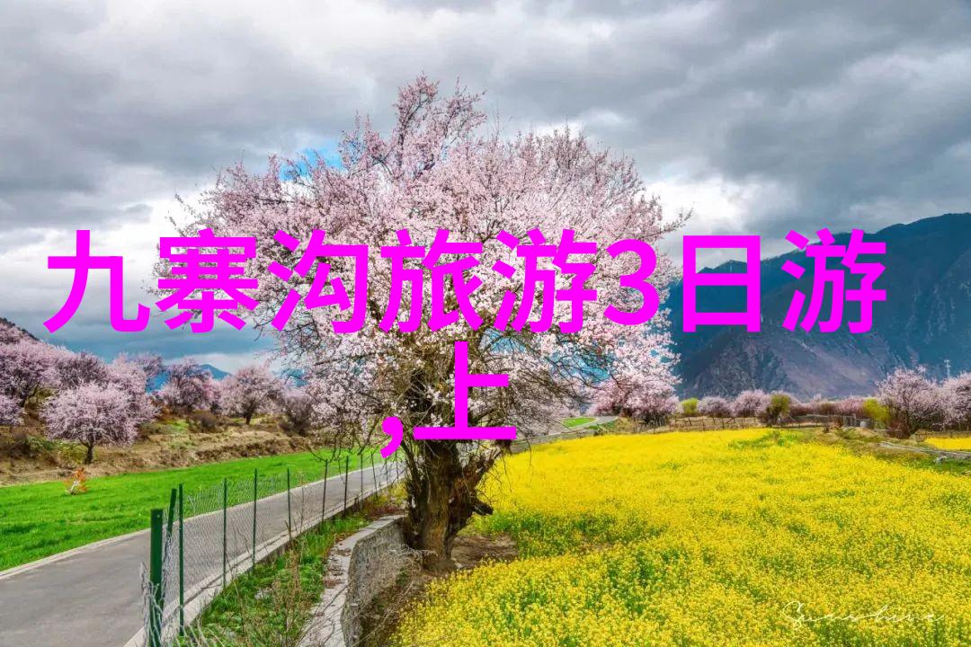 探索时光我的旅行故事