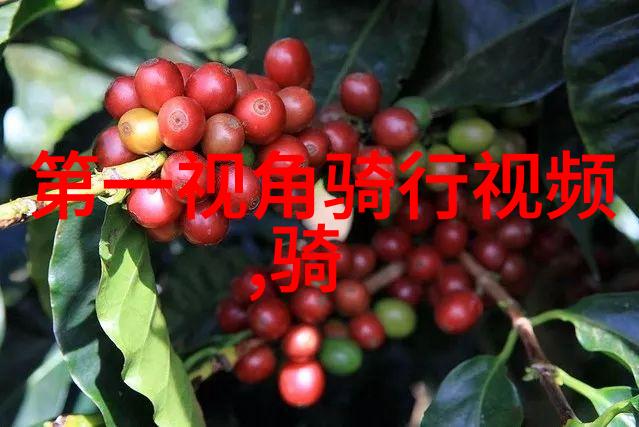 无处躲藏txt隐藏在数字世界的文本游戏