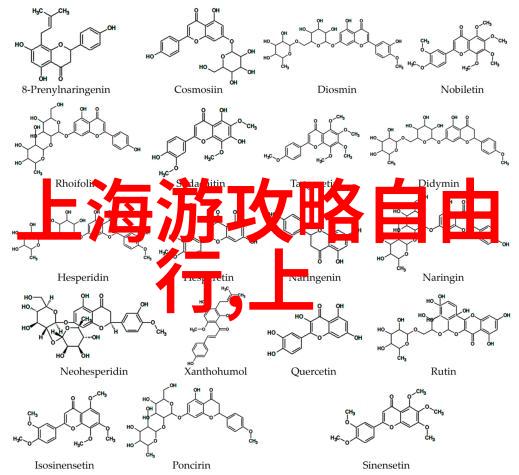 武汉一日游必去景点推荐1000字深度游记