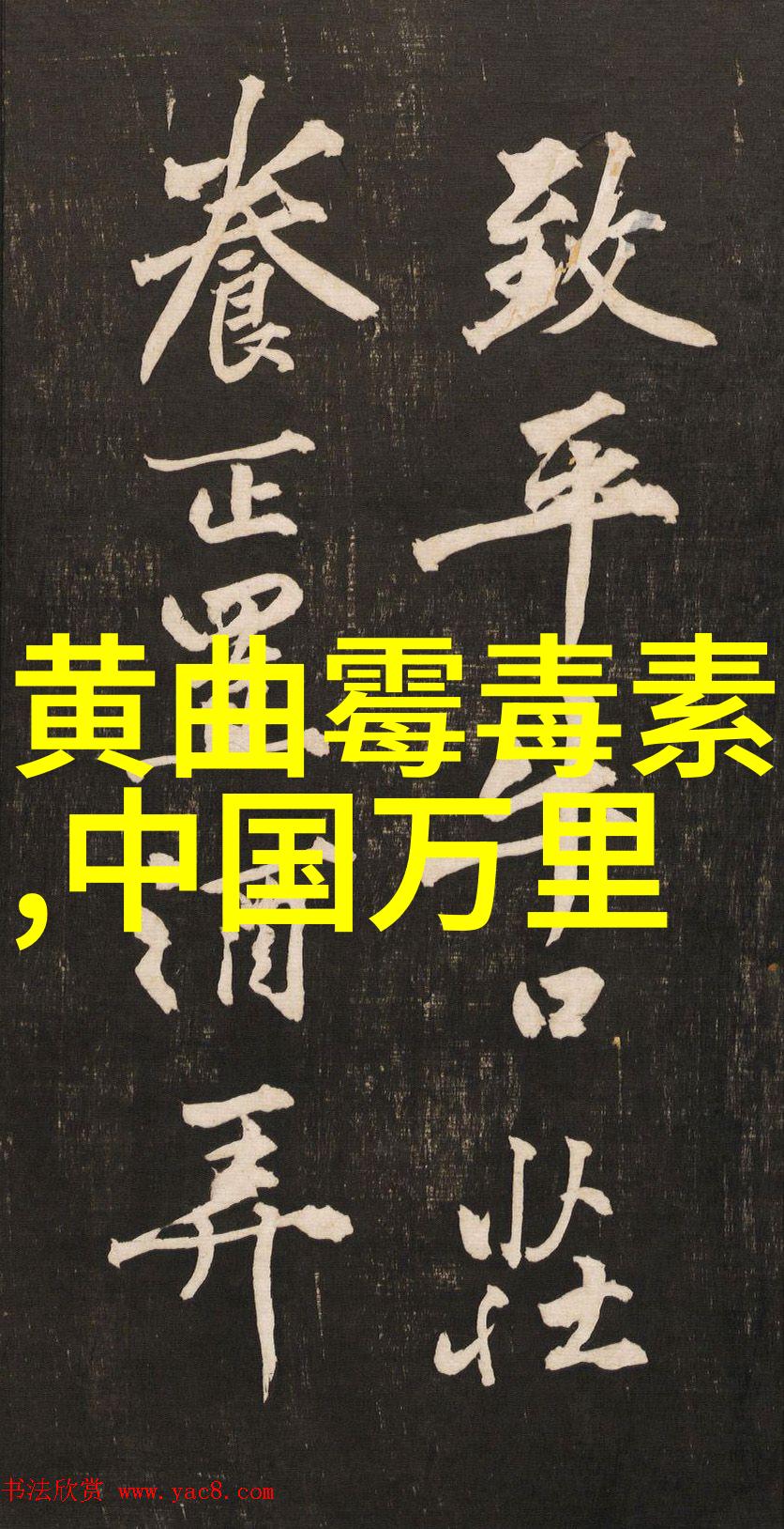 全球游客关注的焦点中国旅行限制放宽进程