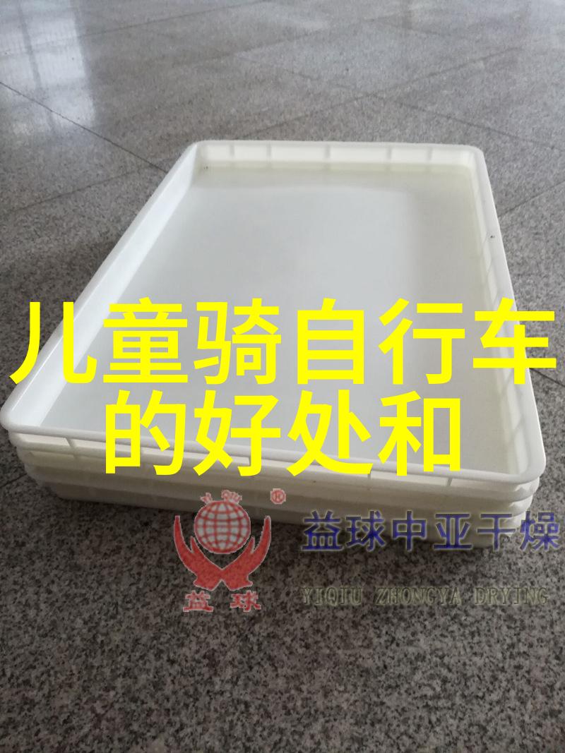 寒冷之美探究冬季最佳旅游目的地的气候适宜性与文化体验价值