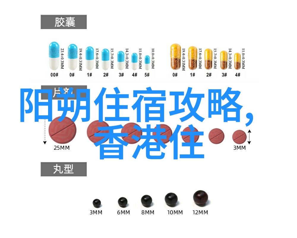 最火的骑行app软件最好的-探索极速揭秘全球最佳骑行应用