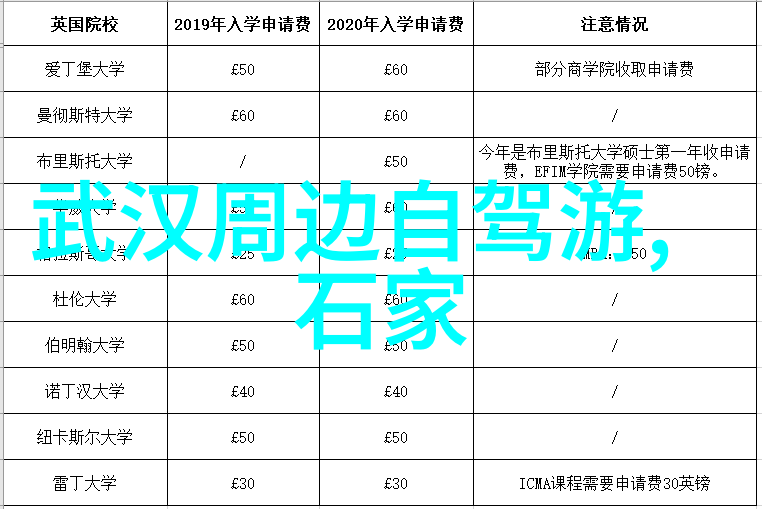 坐在教授的棍子根茎上写书卷与古树之间的学问之旅