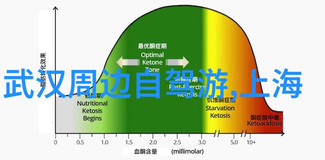 探索无界免费旅游预约平台的奇妙征程