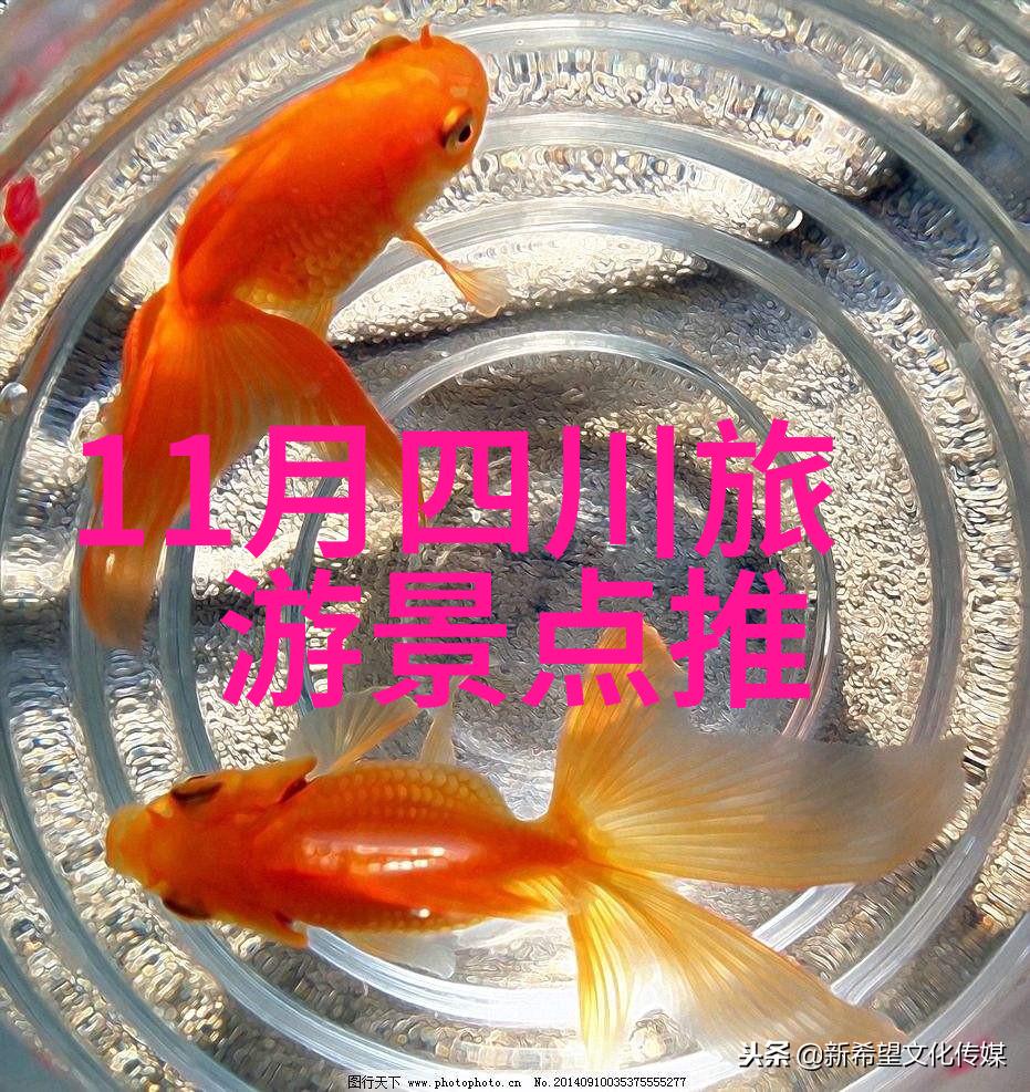 云南三日游出行指南如何节省开支享受美好时光