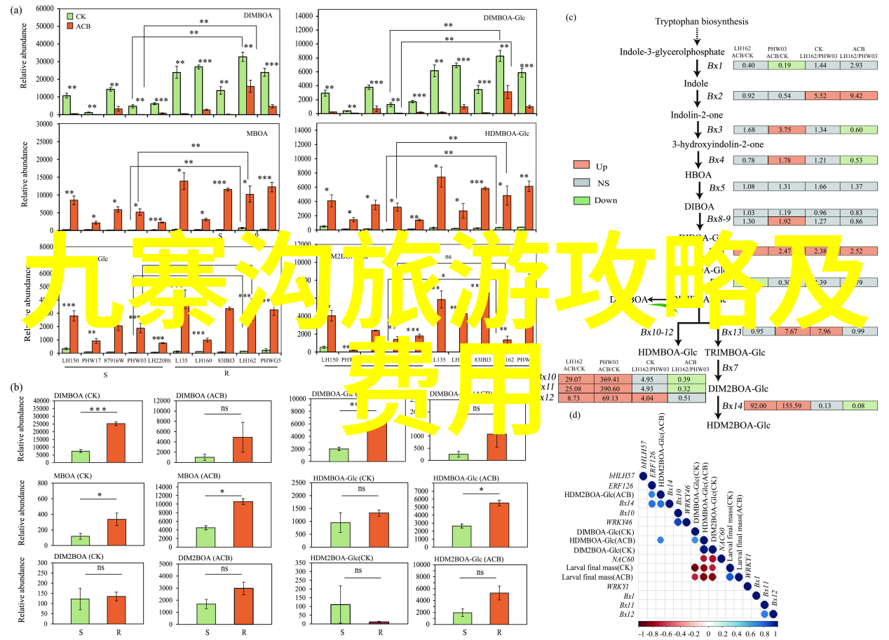 主题-团队协作的乐趣10人左右室外小游戏探索