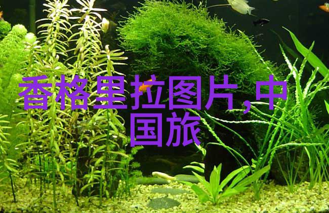 春节游记作文500字重返童年家乡的春天