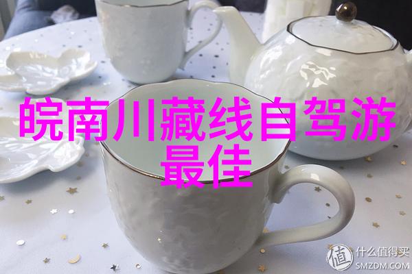 什么是最适合初学者的自驾游软件推荐