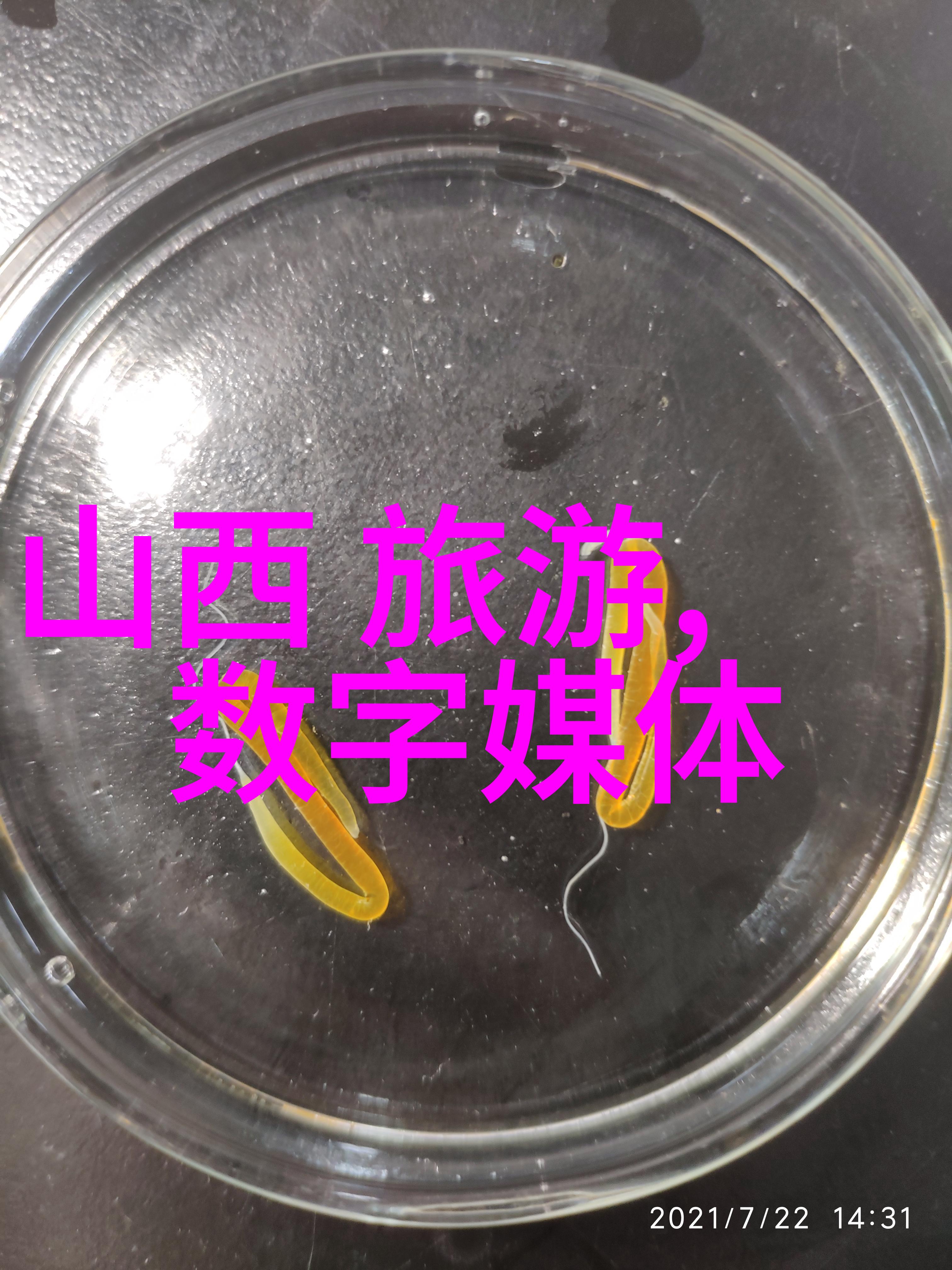 春节逃寒暖游探秘全球最经济温暖假日目的地