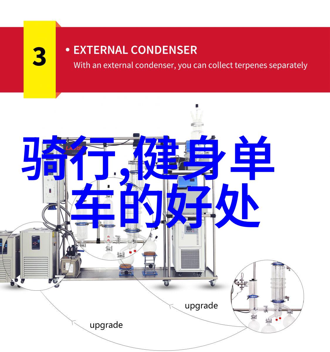 循环健康法则探索每天30分钟单车对身体好处的秘密