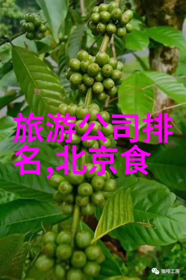 风中画卷拍摄技巧和心得在内蒙古6大草原上的实践