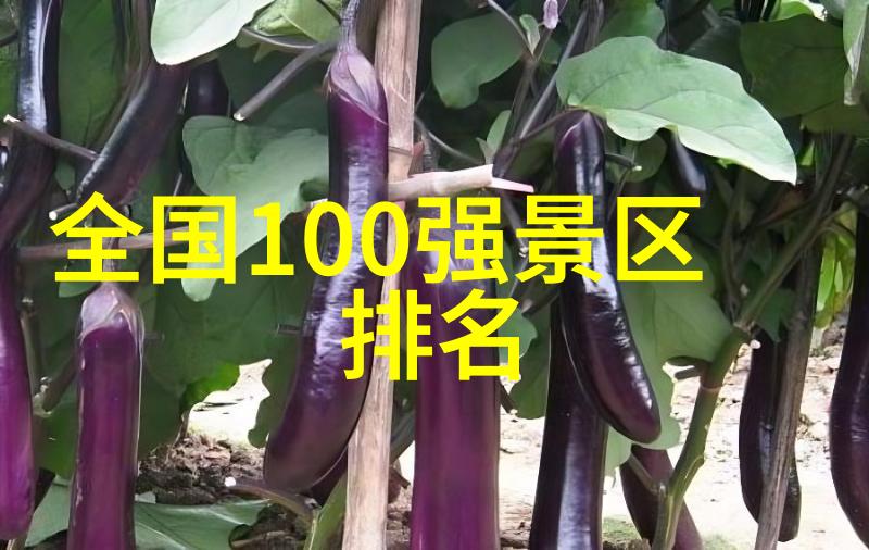 北京美食盛宴老字号与新鲜面貌的交响phony